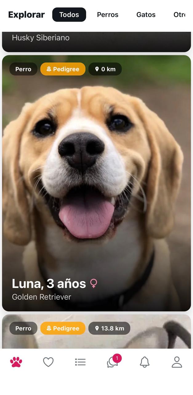 Feed de ejemplares en Timpet