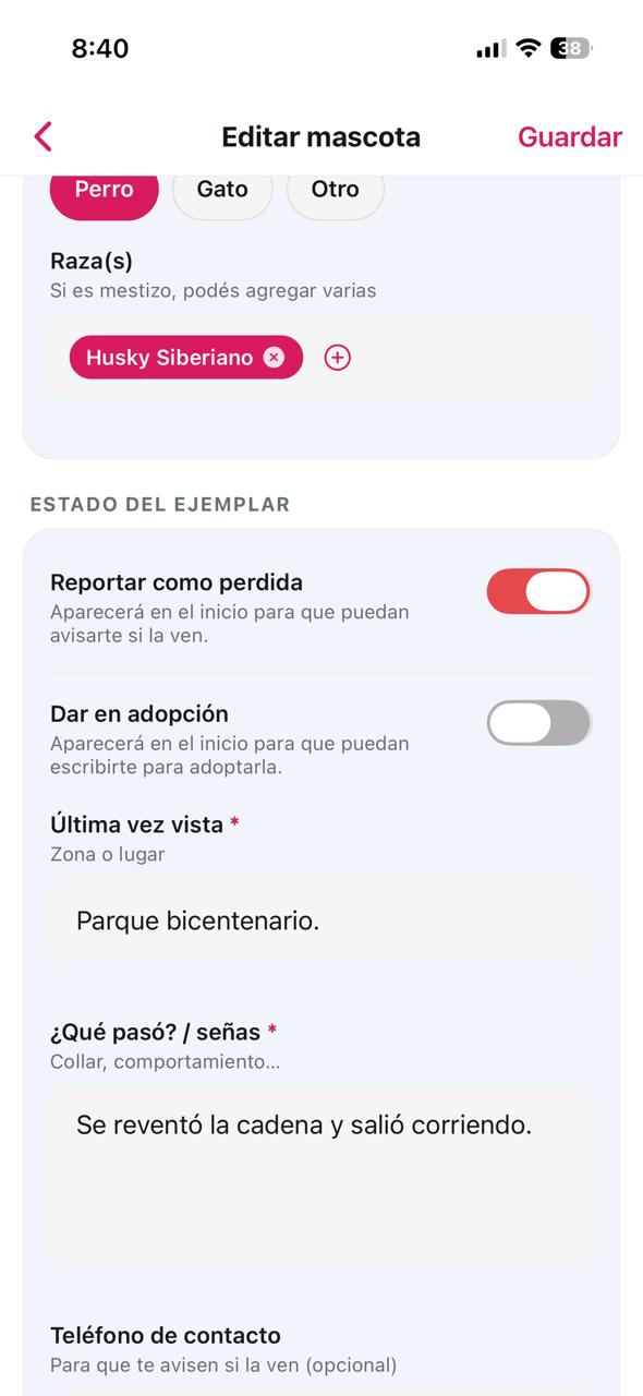 Reportar mascota perdida en Timpet