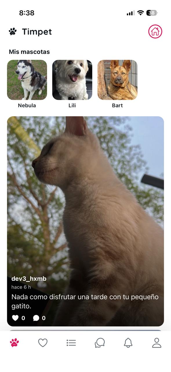 Mi muro en Timpet