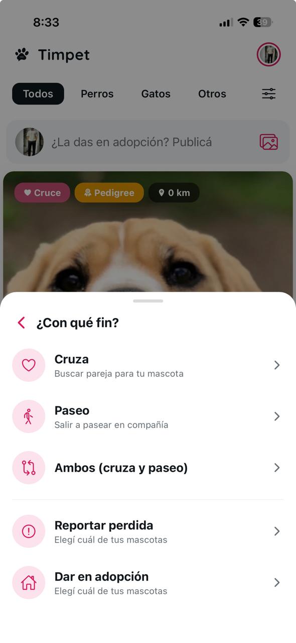 Creador de publicaciones en Timpet