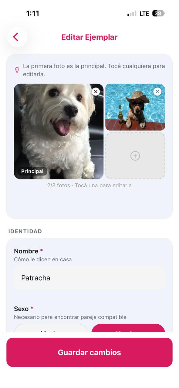 Perfil de ejemplar en Timpet